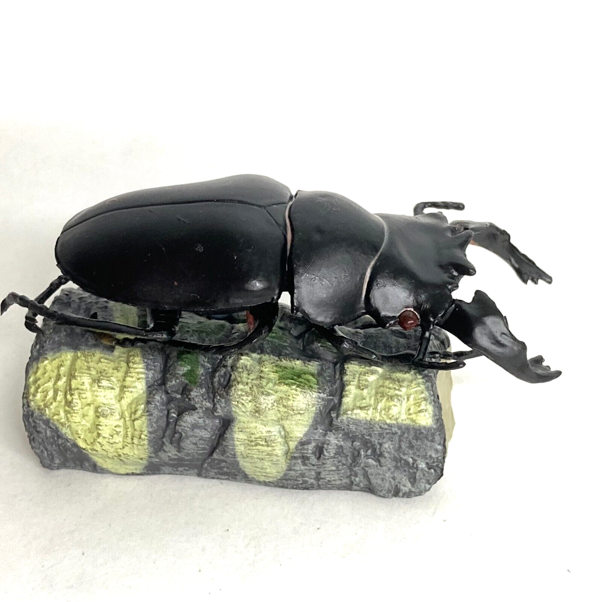 Colorata Stag Beetles Figure African Great Stag Beetle