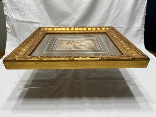 Steve Butler Caribbean Macaw and Macaw II Prints Parrot w/ matching Frames - Picture 13 of 22