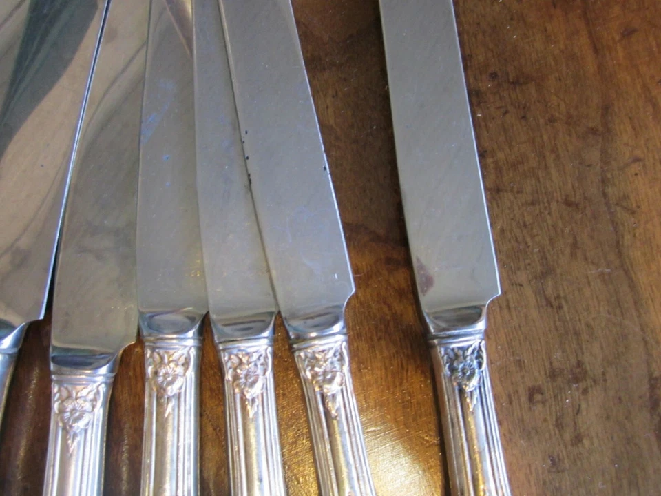 UN Cuchillo de Cena Wild Rose International Sterling 9.25" Nuevo Francés Sterling Foto 2 de 2