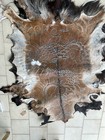 Foto 10 di 12