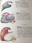 Foto 5 di 5