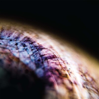 EMPTYSET - SKIN (EP+MP3)   VINYL LP + MP3 NEU 