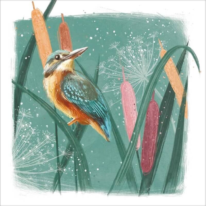 Pretty Birthday Card Kingfisher in Reeds Bird - Stylish Design Greeting Card