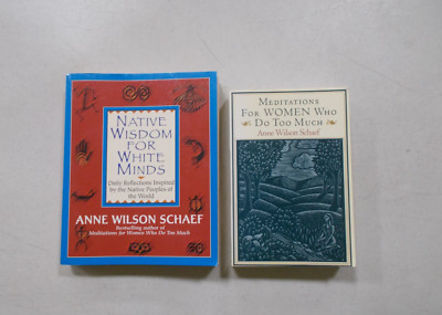 2 ANNE WILSON SCHAEF # PB MEDITATIONS DO TOO MUCH NATIVE WISDOM WHITE MINDS