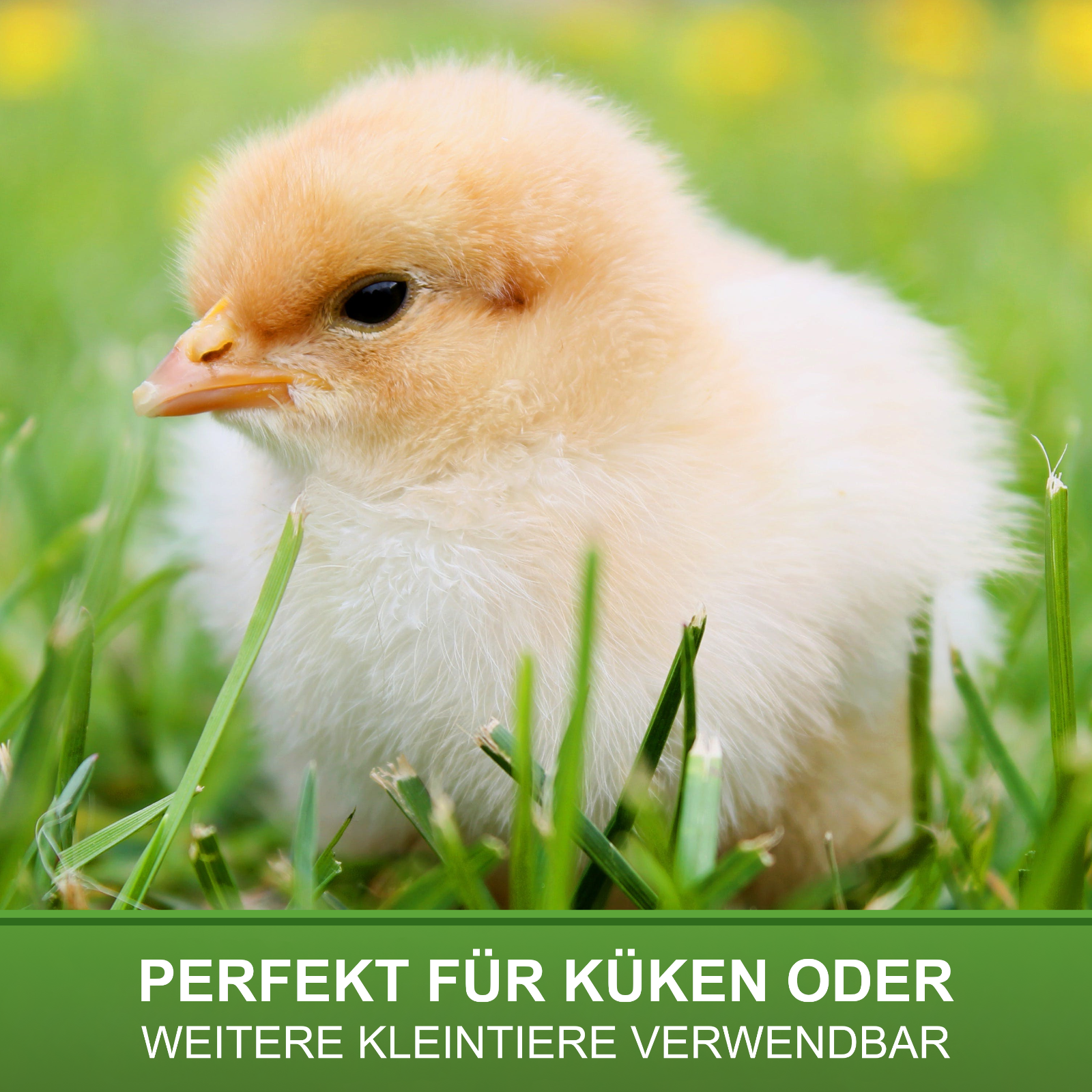Bild 2 von 7