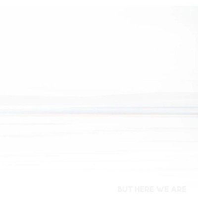 Foo Fighters: But Here We Are (white vinyl) (Vinyl)