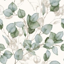 Image of Eucalyptus Leaves Wallpaper Leaf Green Gold White World of Wallpaper AF0036