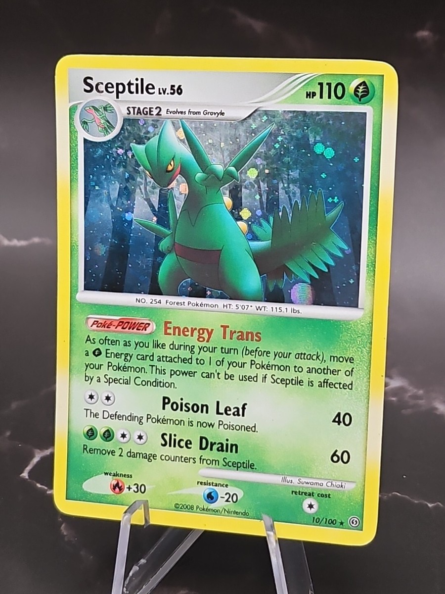 世界49枚 PSA10 ジュカイン LV.56 sceptile 2008 90 世界49枚 PSA10