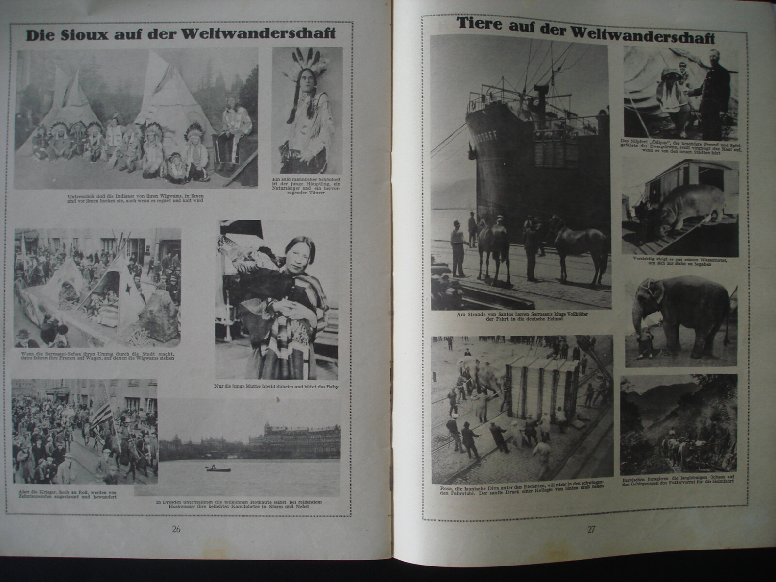 Bild 3 von 4