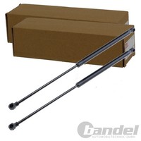2X NTY Gasfedern KOFFERRAUM-LIFTER Passend FüR Audi A3 A4 | AE-AU-001