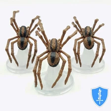 Giant Wolf Spider x3 - Fangs and Talons #8 D&D Icons Miniature