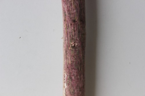 Treibholz Schwemmholz Driftwood 1 XL Ast Garderobe Dekoration - Bild 6 von 12