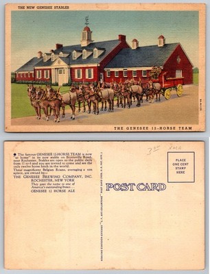 Genesee 12-Horse Team Stables Rochester NY Vintage Linen Postcard C.T