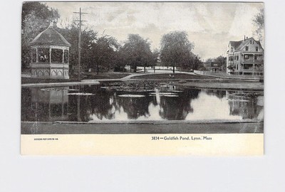 PPC Postcard MA Massachusetts Lynn Goldfish Pond Undivided Back