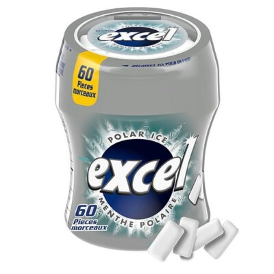 Excel Polar Ice Flavored Sugar Free Chewing Gum  - 12 Packs Total - 720 Pcs