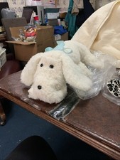 White Pound Puppy With Blue Tie Wanting Someone To Love Him