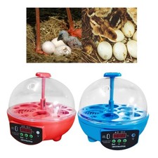 of eggs, 6s of eggs for hatching eggs, temperature control and LED display for