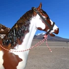 Johnny West Marx Horse  leather simple bridle
