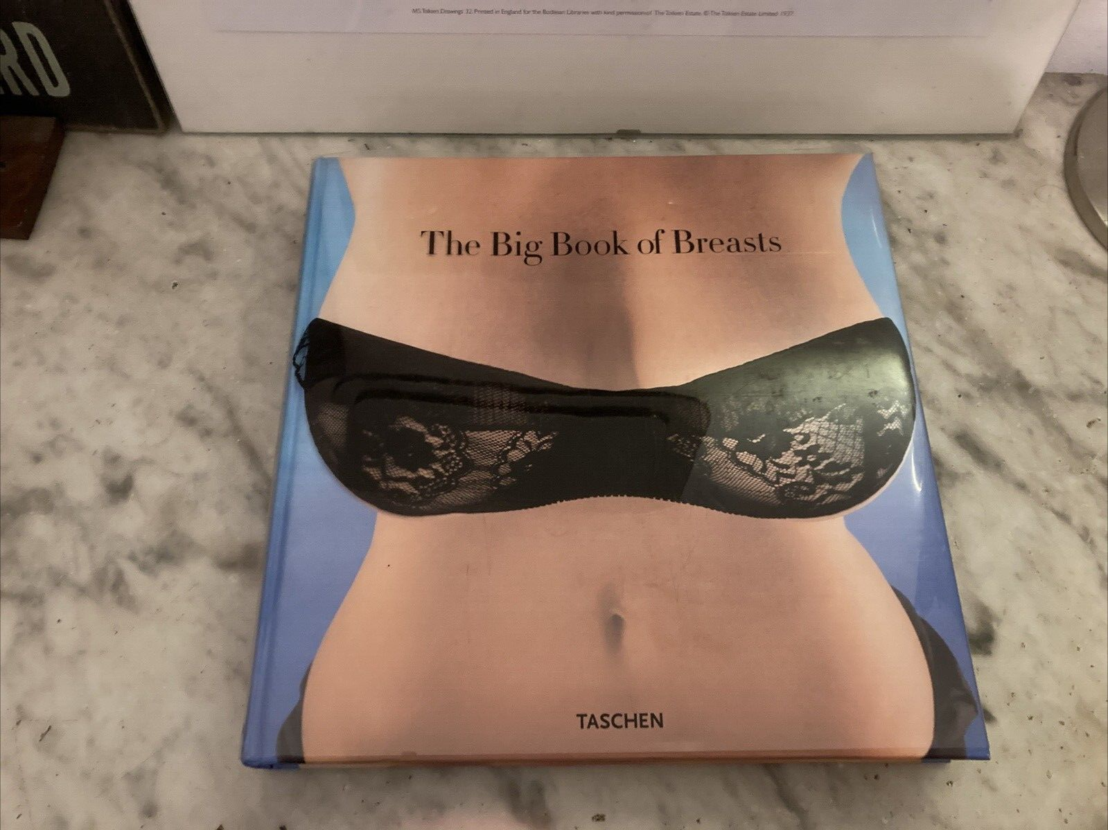 The Big Book Of Breasts. Hanson, Dian. 1ST EDITION HARDBACK 2006