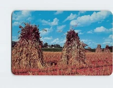 Postcard At Harvest Time