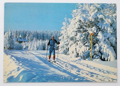 Postkarte AK - Skilangläufer in der Loipe, Bayerischer Wald, 1981