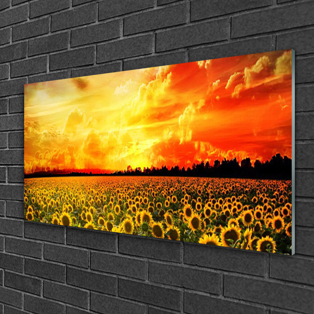 Tableau sur verre Image Impression 100x50 Floral Prairie Tournesol Tableau sur verre Image Impression 100x50 Floral Prairie Tournesol