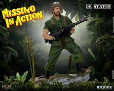 Missing in Action 1/6 Infinite Statues - Collectible Action Figure
