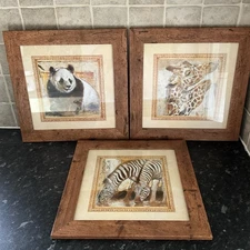 Set of 3 Joadoor’s Dawn jungle animal panda zebra giraffe prints in frames 