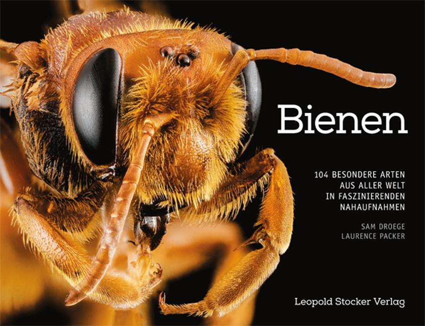Thumbnail - Bienen | Droege, Sam | Packer, Laurence