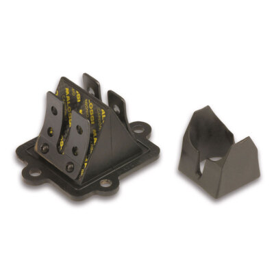 Ventil Lamellen MALOSSI VL12 Kohlenstoff 0,3 für Yamaha Axis 50 2T AC
