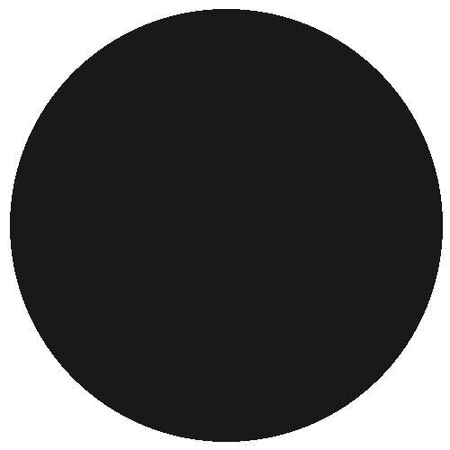 2420 Railmatch Coal Black 18ml Acrylic - Picture 1 of 1