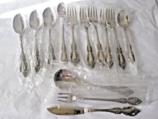 Oneida Raphael deluxe 13 pc New Lot Stainless Flatware Silverware USA retired