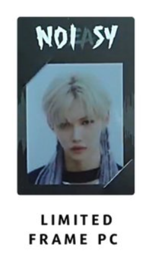 straykids felix トレカ NOEASY Stray Kids SKZ Felix NOEASY Photocard PC Photo card