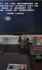 Bubble Bobble (Nintendo Entertainment System, NES, 1988) Authentic!