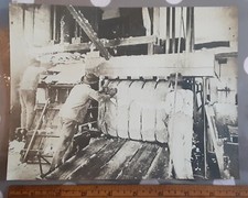 Orig. c1910 7"x9" photo deep south African-American Black laborers baling cotton
