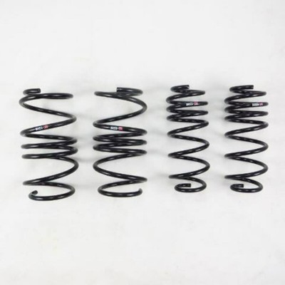 RS-R Fit 09-14 Nissan Maxima Down Sus Springs