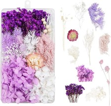 Trockenblumen zum Basteln Trockenblumen Deko Trockenblumen Klein Getrocknete