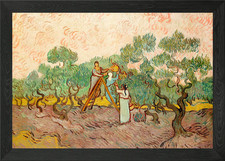 Women Picking Olives Gogh Framed Wall Art Poster Canvas Print Picture