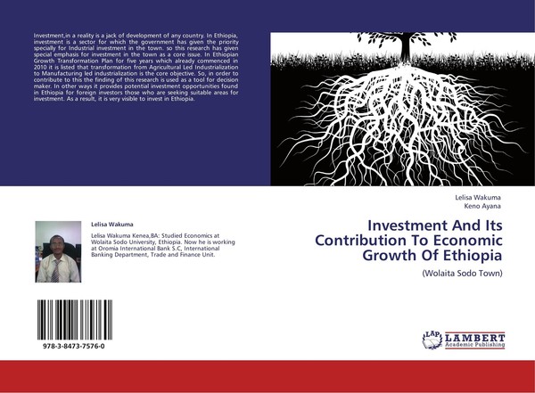 Investment And Its Contribution To Economic Growth Of Ethiopia Lelisa Wakuma-image
