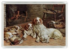 CLUMBER SPANIEL DOG FRIDGE MAGNET GREAT GIFT