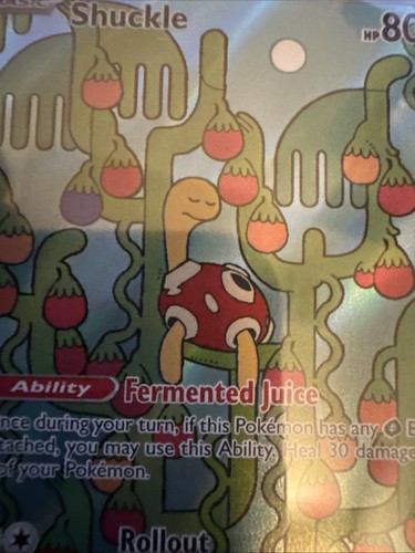 SHUCKLE Illustration Rare Holo #136/132 Pokemon Mega Evolution Englisch M/NM - Bild 2 von 7