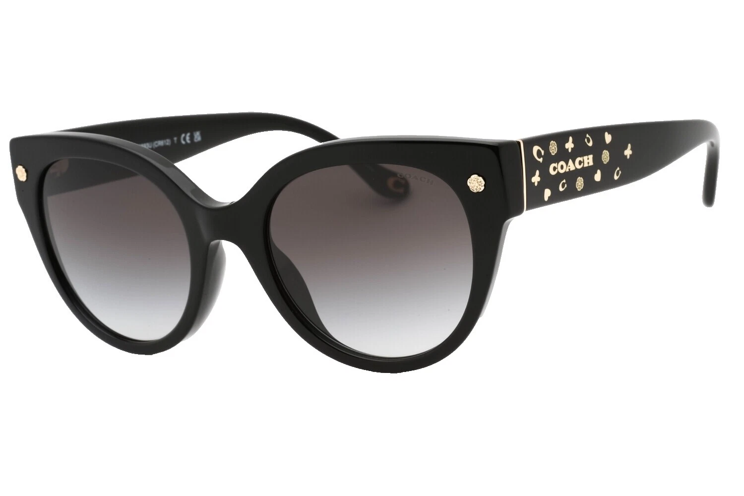 Gafas de sol y Coach Negro Accesorios para De mujer