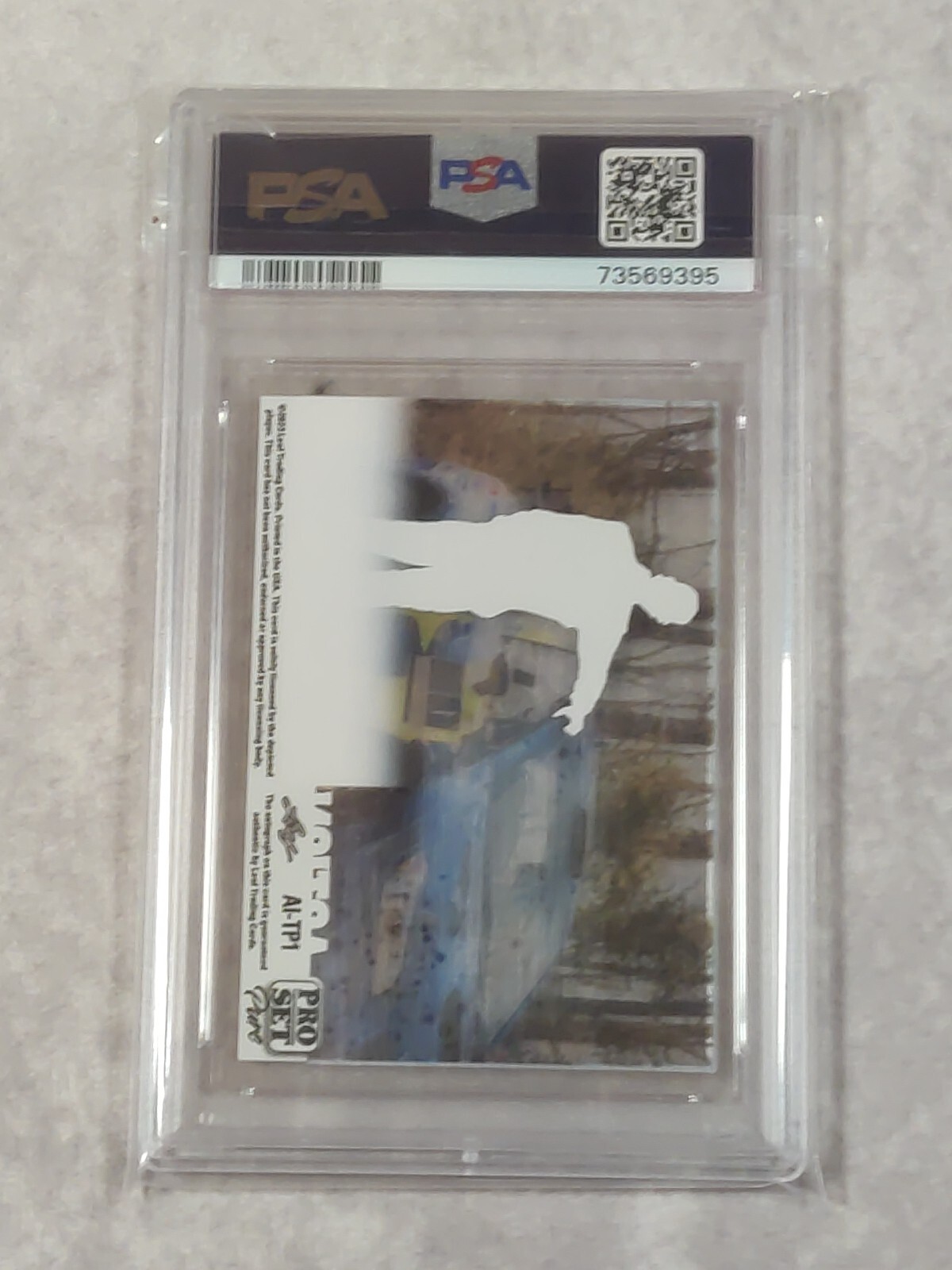 Picture 5 of 5