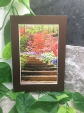 New Handmade 5x7 Matted 4x6 Inspirational Scenic Landscape Free Ship 581