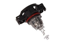 Ampoule Nissan Pulsar