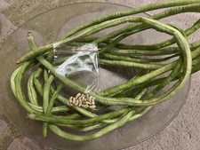 15 SEEDS ASPARAGUS BEAN/LONG ASIAN STRING BEAN/NON GMO/ORGANICALLY GROWN