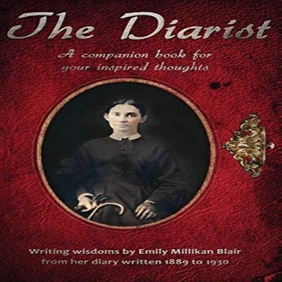 The Diarist A companion book for your inspired thoughts Skinner E