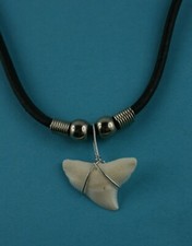 Haizahn Anhänger Hai Zahn Kette