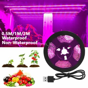 grow light usb