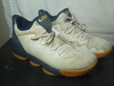 mens nike lebron xvi